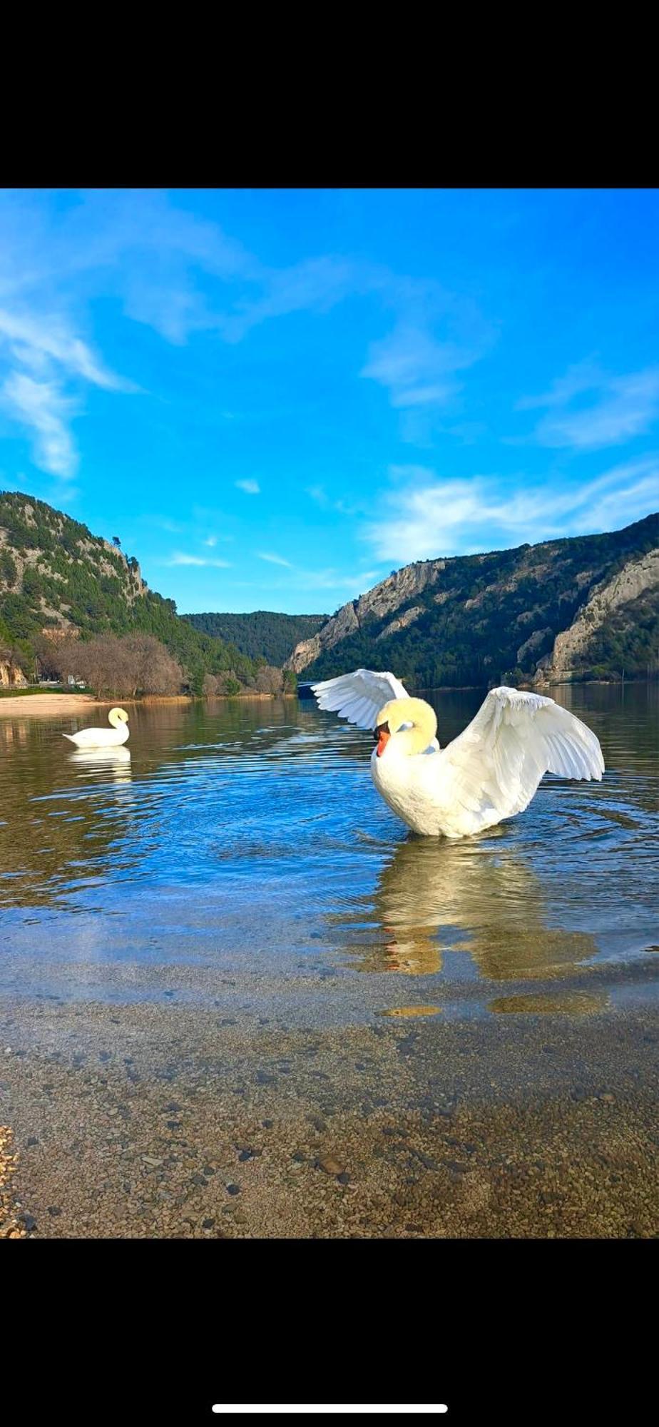 Casa Erceg Amor Vincit Omnia Skradin Esterno foto