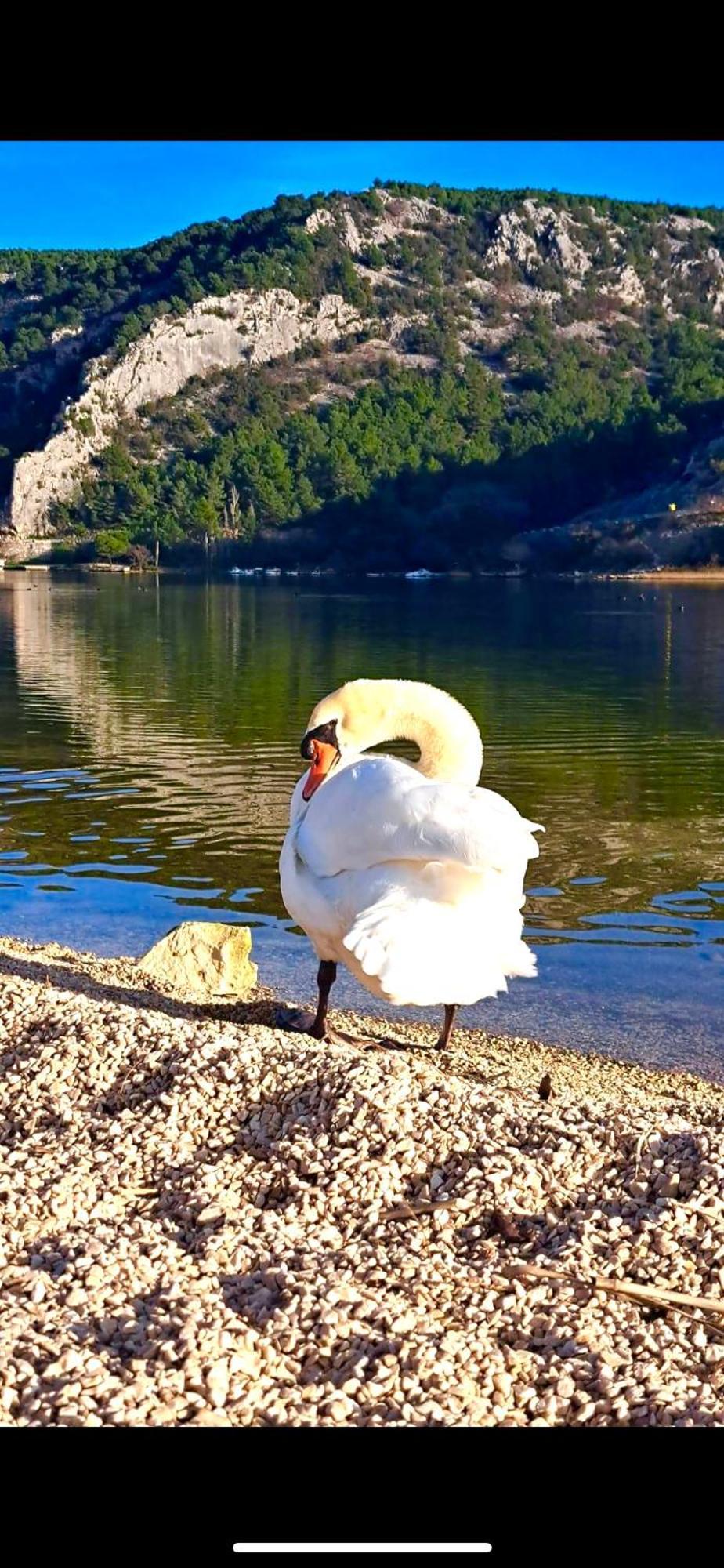 Casa Erceg Amor Vincit Omnia Skradin Esterno foto